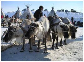 ������ �� ������ �������� ������� � �����������